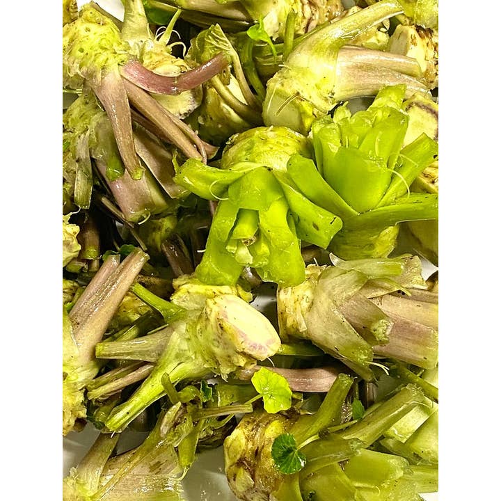 Weymouth 51 Hot Sauces - Wholesale Tincture - Dorset Fire TonicĀ® Mild 500ml2