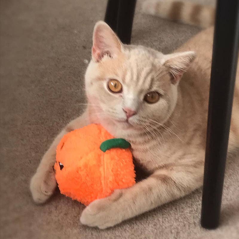 WufWuf - Wholesale Pet Plush Toy - Dog - MyMeow Pumpkin Cat Plush Toy1