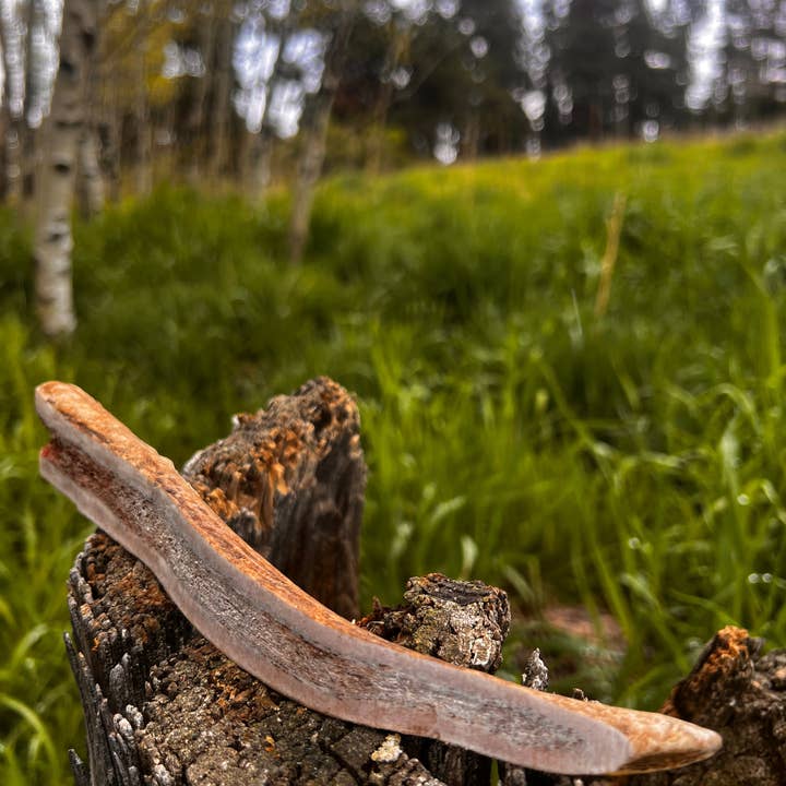 Ruff Country Chews - Wholesale Pet Treats - Dog - Split Elk Antler Chew