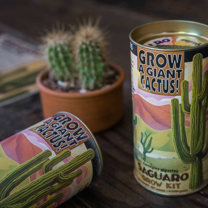 The Jonsteen Company - Wholesale Plant Seeds - Saguaro Cactus | Seed Grow Kit4