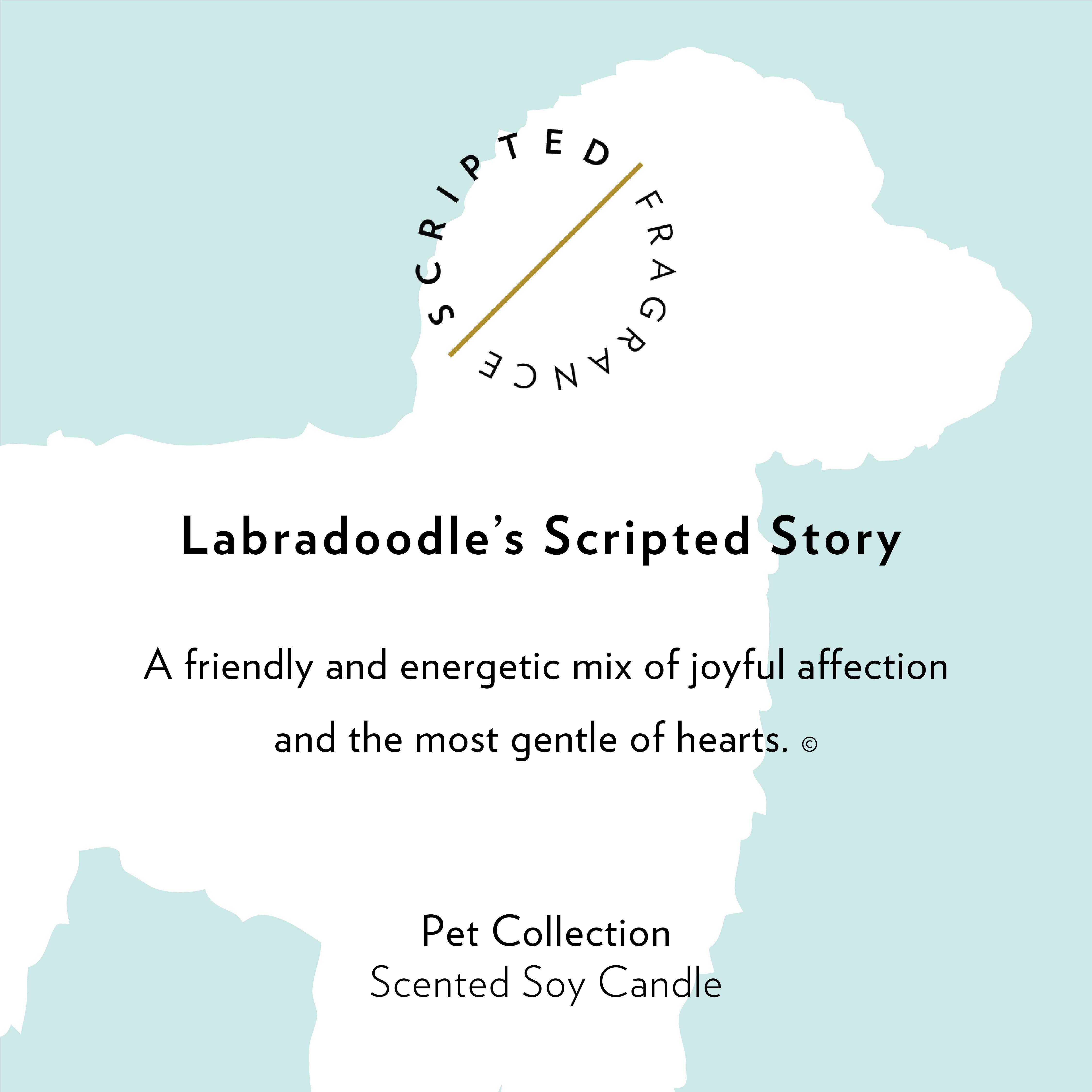 Scripted Fragrance – Vela em jarro/copo por atacado – Vela de Soja Labradoodle Raça Cão8
