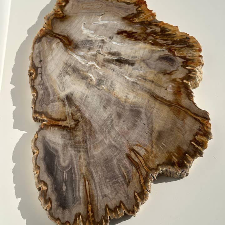 Plat organique en bois pétrifié beige D:20-35cm - Satu et autres tendances Résultats pour recherche granulés bois en vente B2B. Retours gratuits et paiement à 60 jours sur Faire sur Faire.