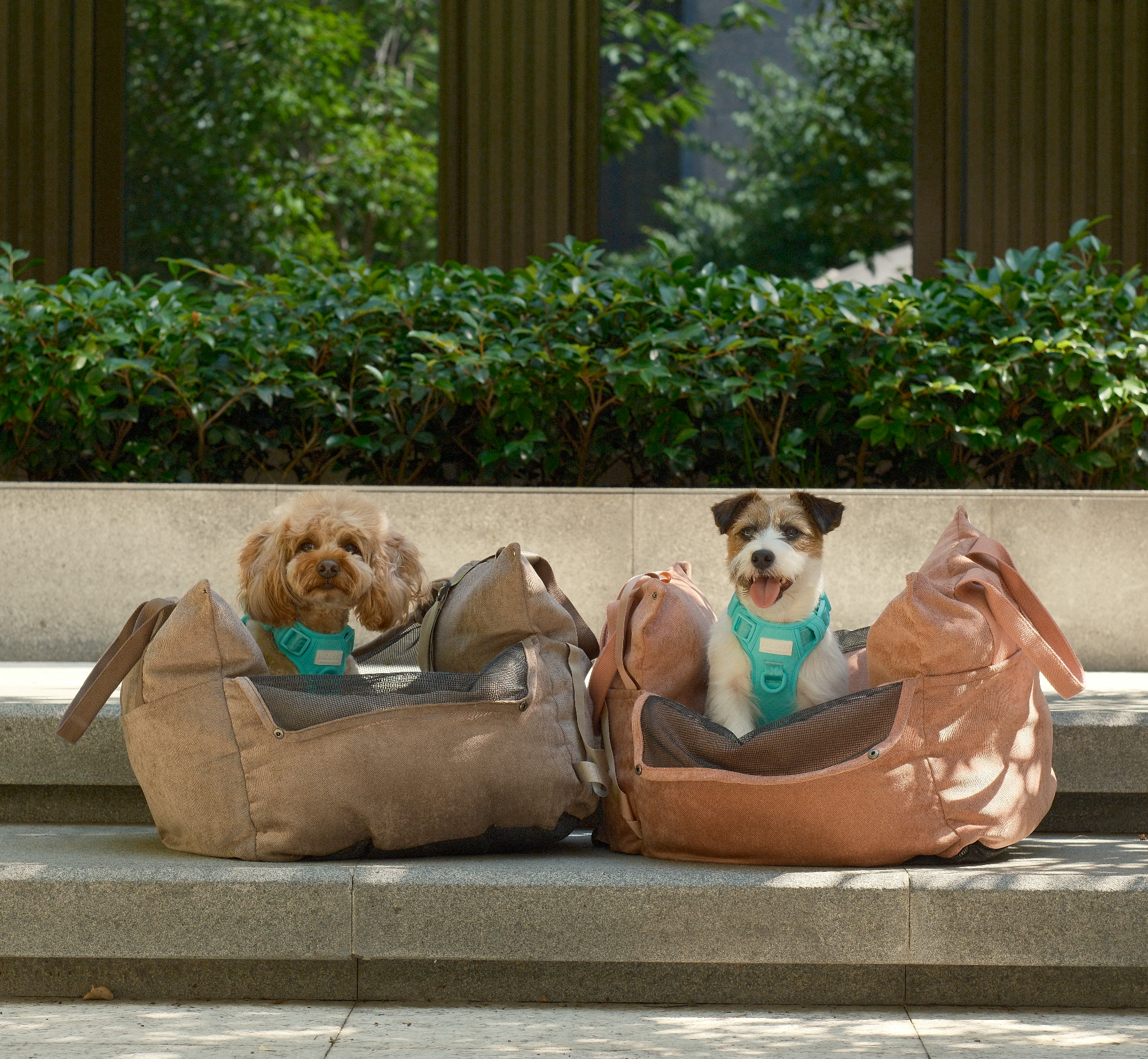 PEHOM - Wholesale Pet Carrier - Dog - Puff Guard Dog Car Seat - Camel9