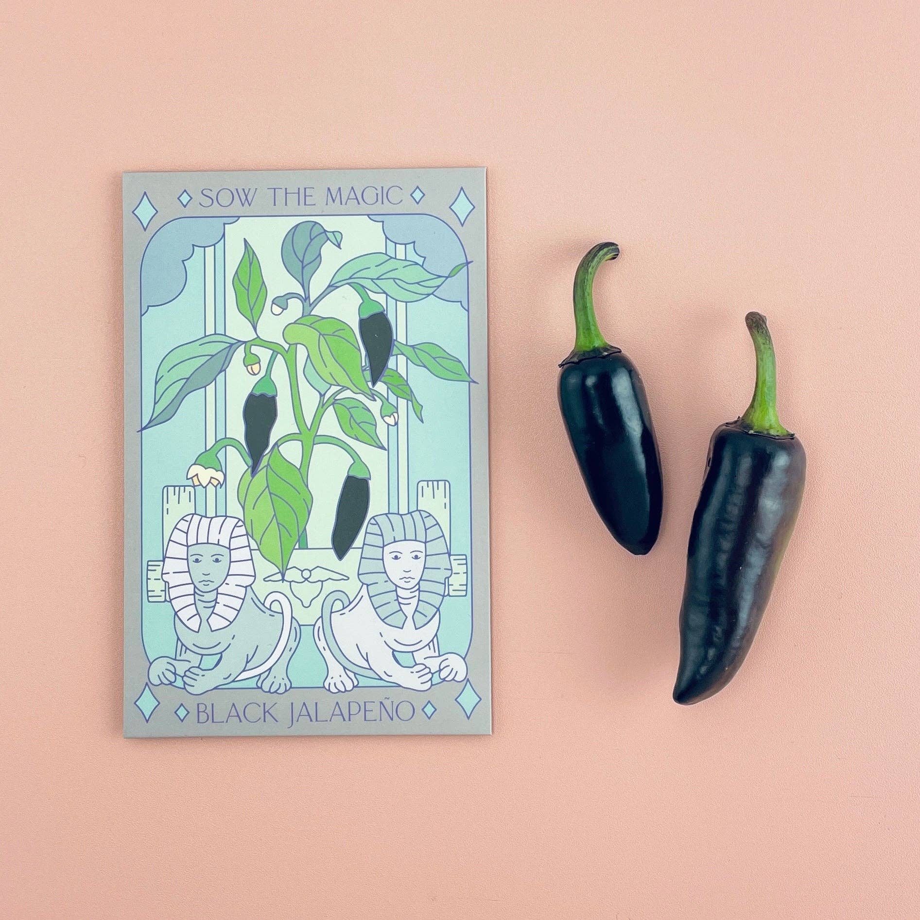 Sow the Magic – wholesale Plant seeds – Black Hungarian Jalapeño Tarot Seed Packet1