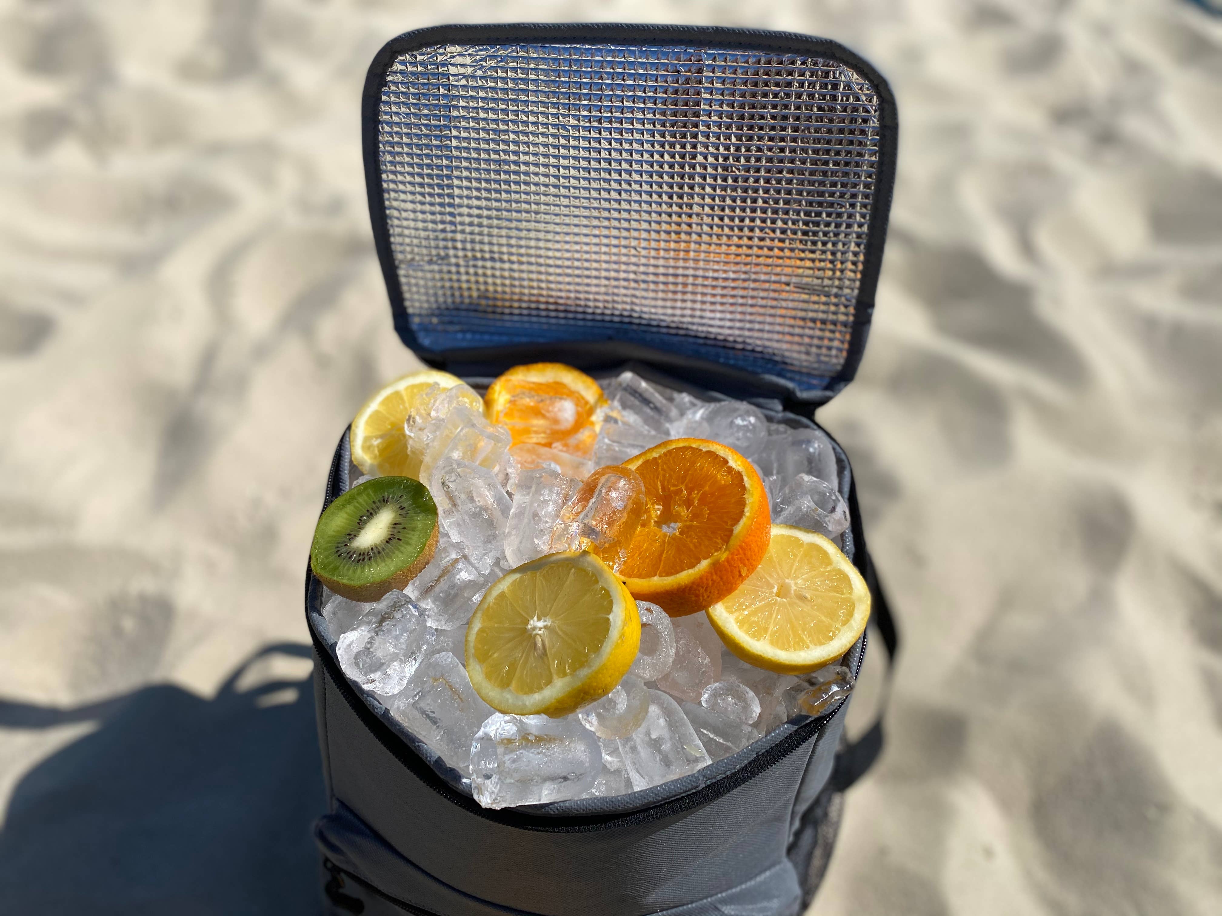 RETULP - Wholesale Cooler/Cooler Bag - Recyceld Fridgeback Cooler Bag Backpack6