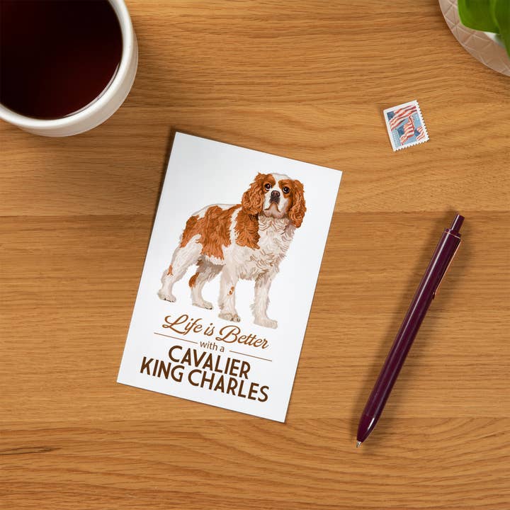 Lantern Press - Wholesale Postcard - PREMIUM POSTCARDS Cavalier King Charles, Life is Better1