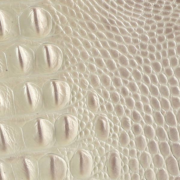 Zina Kao Exclusives – wholesale Crossbody bag – Women's – The Dragonskin Octavia13