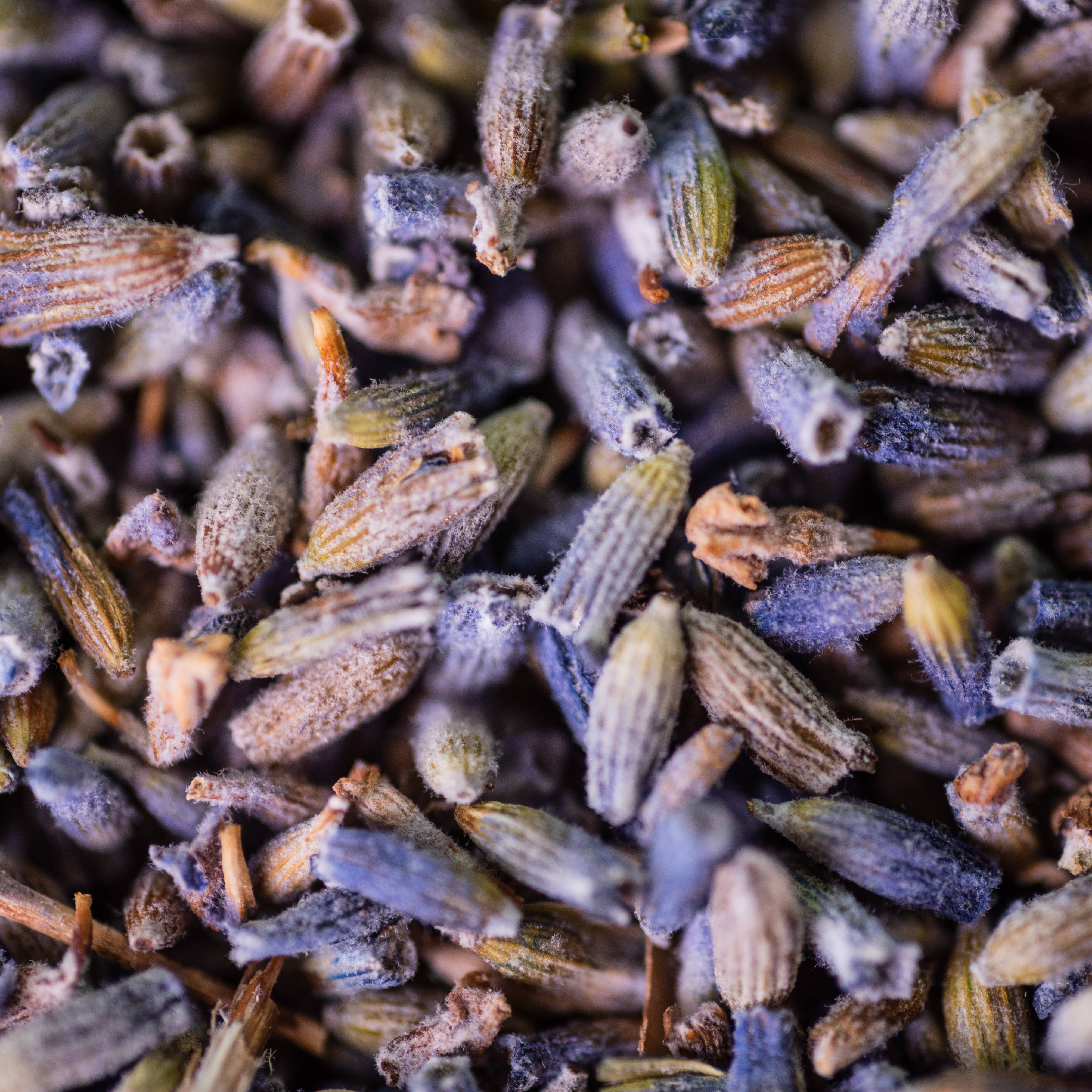 LE COMPTOIR D'HERBORISTERIE - Wholesale Health/Detox Tea - ORGANIC LAVENDER INFUSION FLOWER FRANCE 50G1