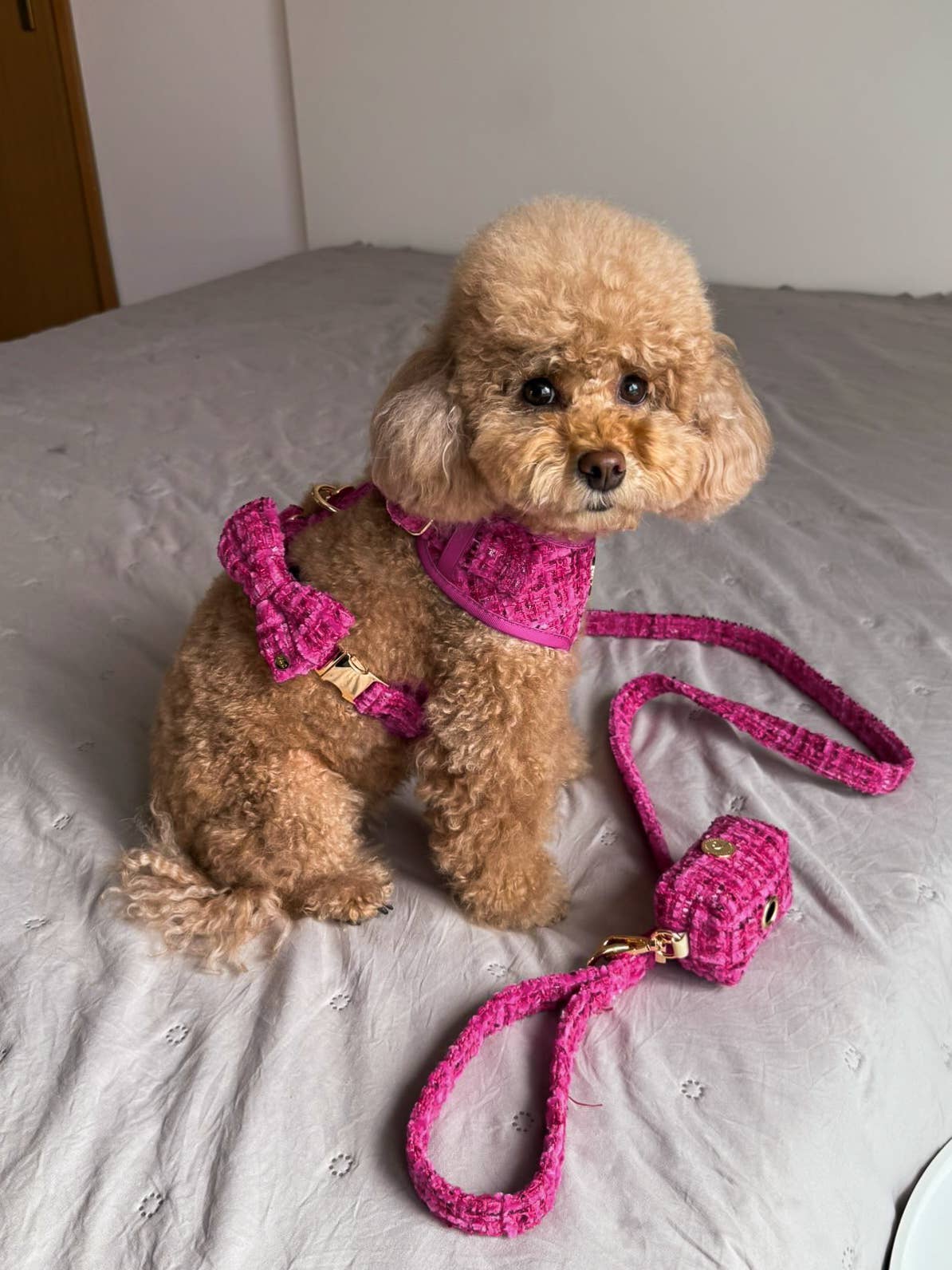 Floofs and Cookies - Wholesale Pet Harness - Dog - Chloe harness1