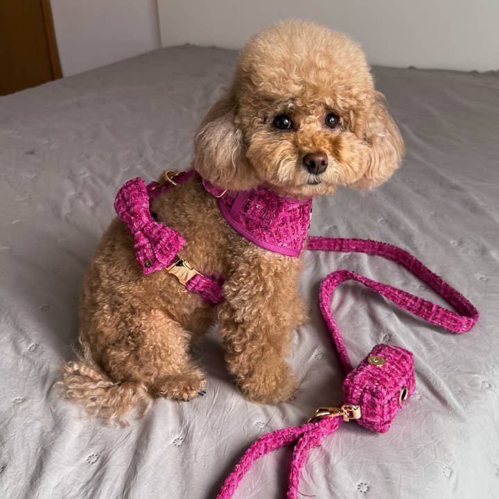 Floofs and Cookies - Wholesale Pet Harness - Dog - Chloe harness1