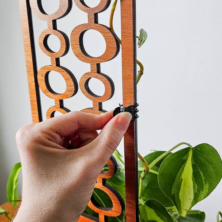 Leaf & Node - Wholesale Trellis - Indoor Houseplant Trellis - MCM Bubble (Wood)