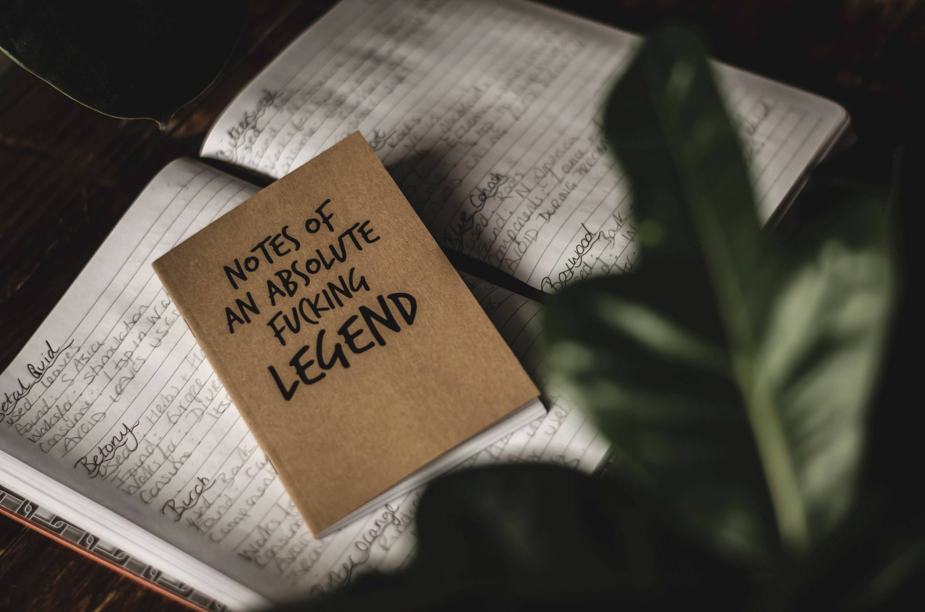 F Bomb Designs – wholesale Notebook – SWEARY A6 NOTEBOOK / Notes of a F*cking Legend1