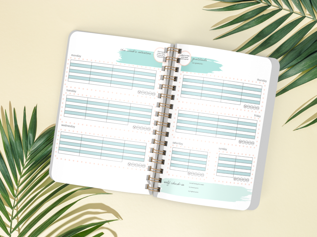 DANESSA - Wholesale Planner - CBT Daily Planner (Undated)2