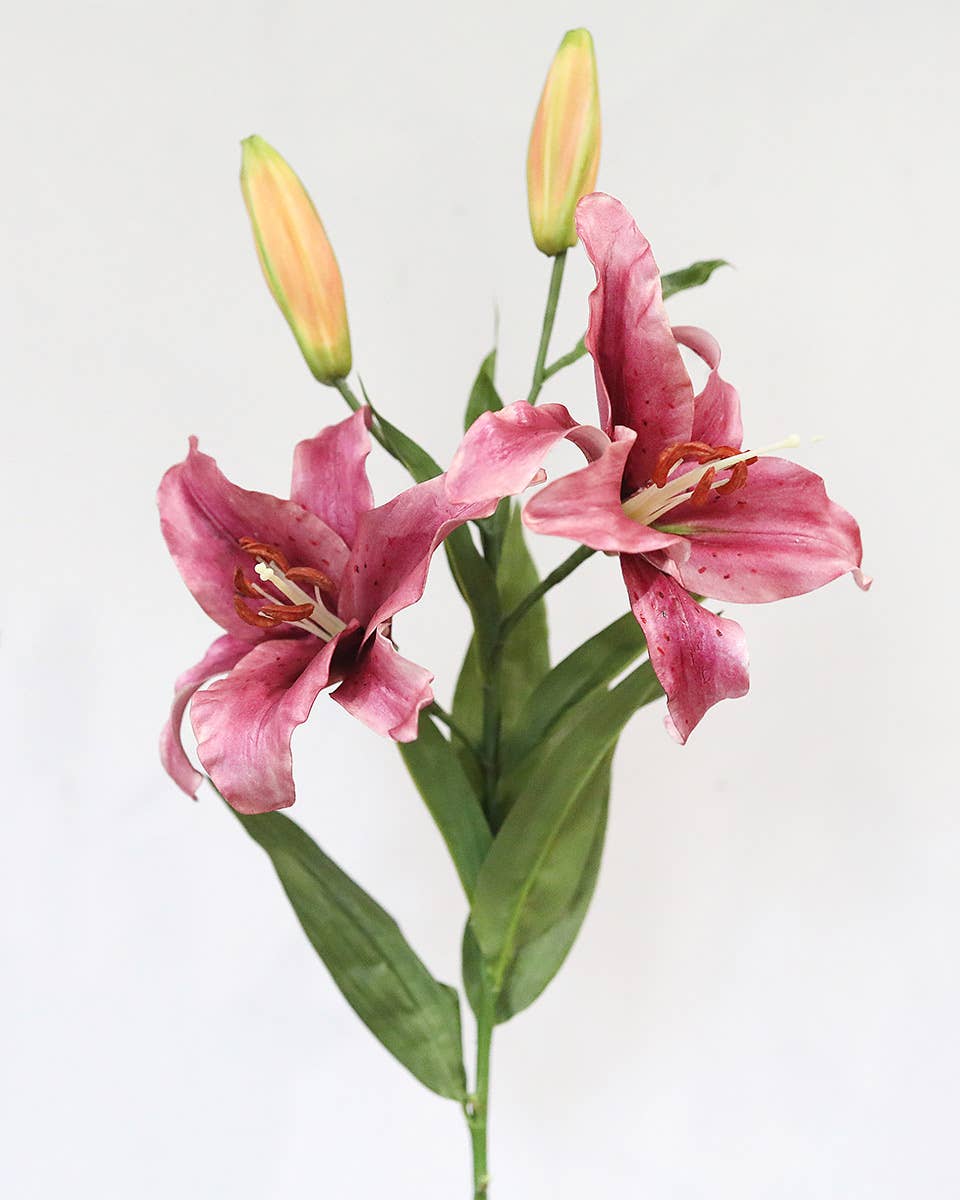 Prestige Botanicals - Wholesale Artificial Flowers - Plum Stargazer Lily 37.5"2