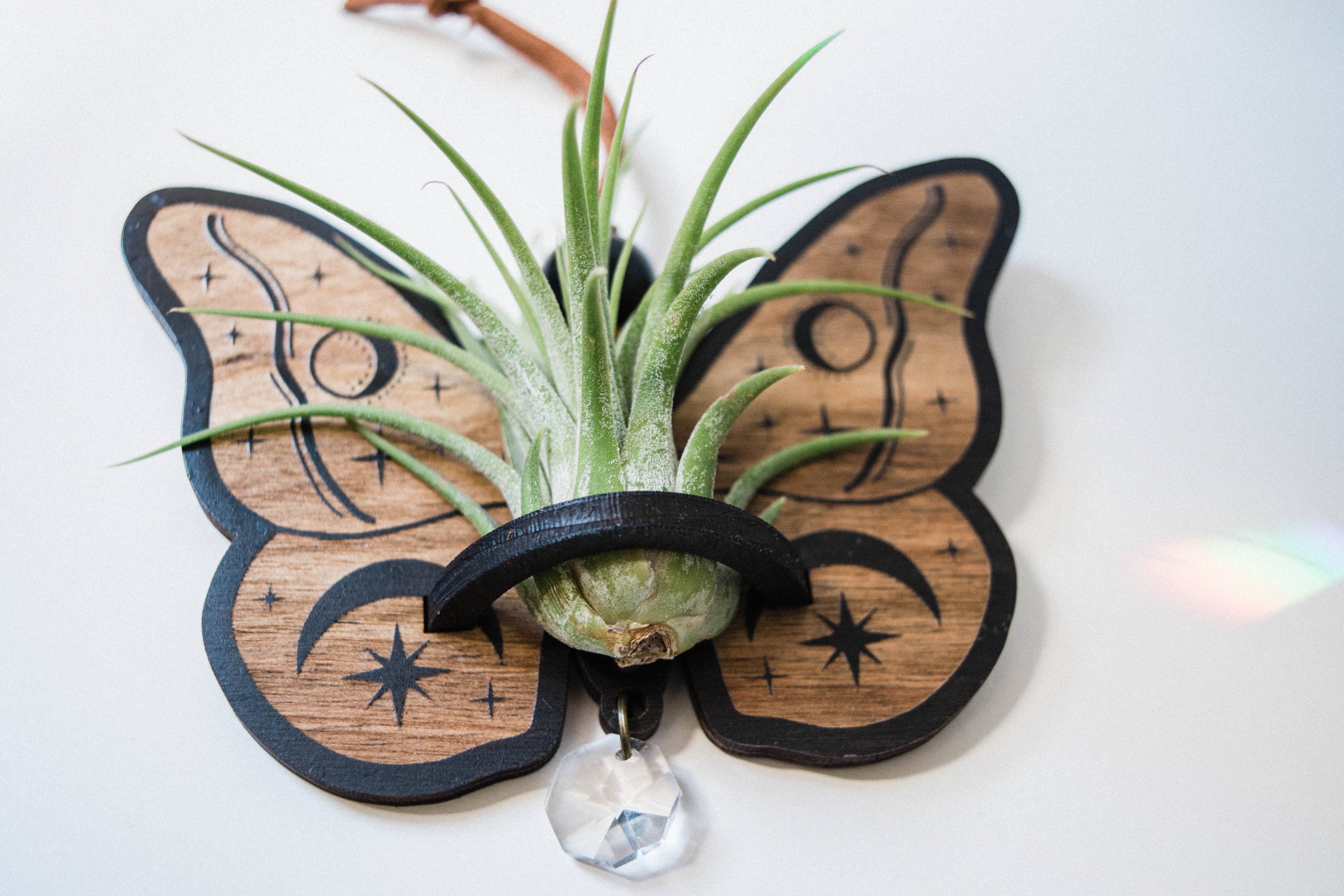 HEX Botanical - Wholesale Suncatcher - Celestial Moth Air Plant Hanger Suncatcher Crystal Prism 5