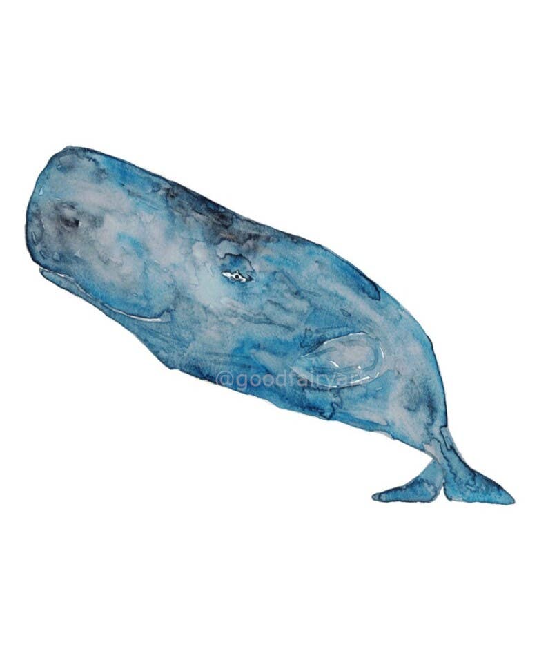 Goodfairyart - Wholesale Gallery Wall Set - Set of 3 Sperm Whale Cachalot Watercolor Painting5