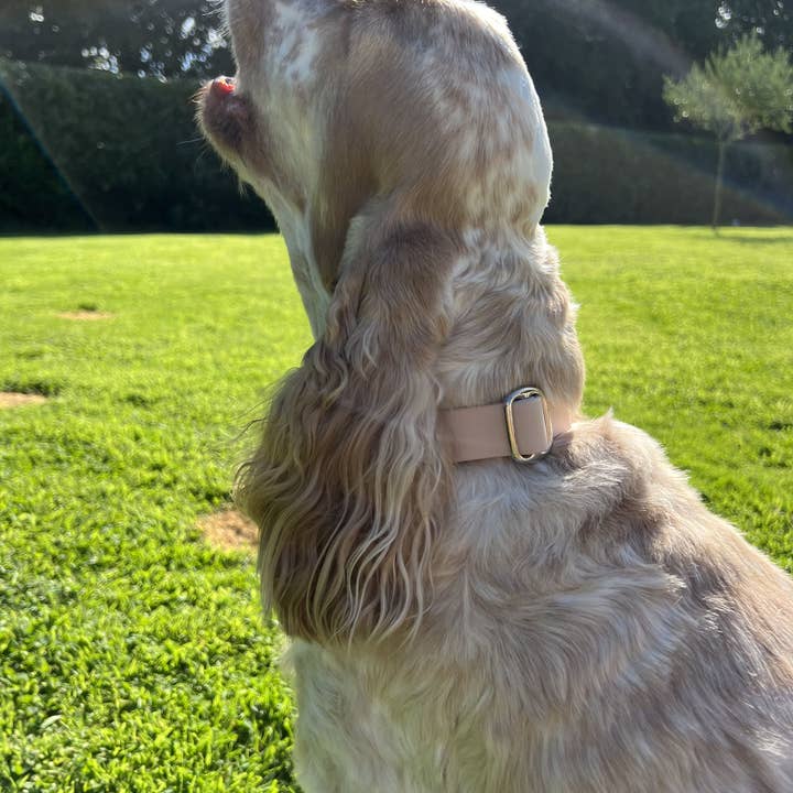 Splash By Happy - Wholesale Pet Collar - Dog - Biothane® clip necklace