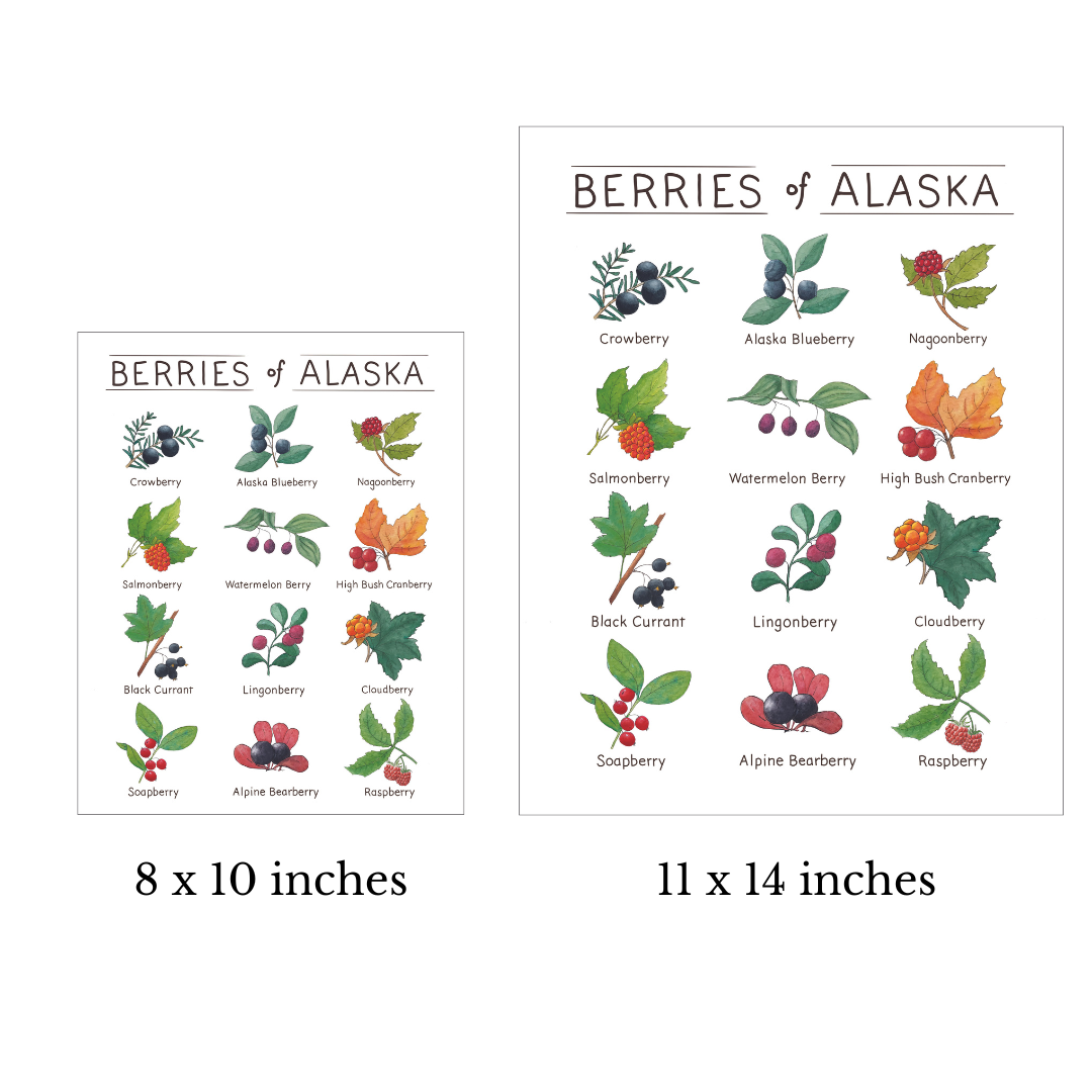 Tiny Nest Studio - Vente Affiche d'art - Impression artistique sur les baies d'Alaska1