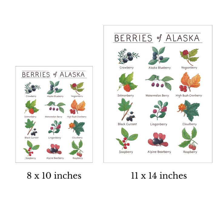 Tiny Nest Studio - Venta al por mayor Ilustración - Lámina artística Berries of Alaska1