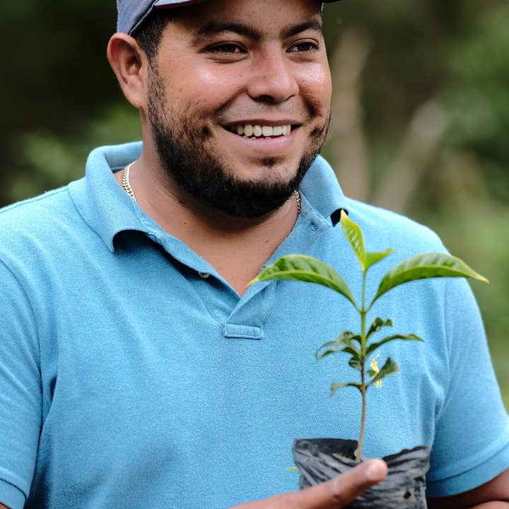 Paso Paso - Farmer Owned Coffee - Wholesale Coffee Beans - Nicaragua - Silvio Sánchez - Geisha Natural