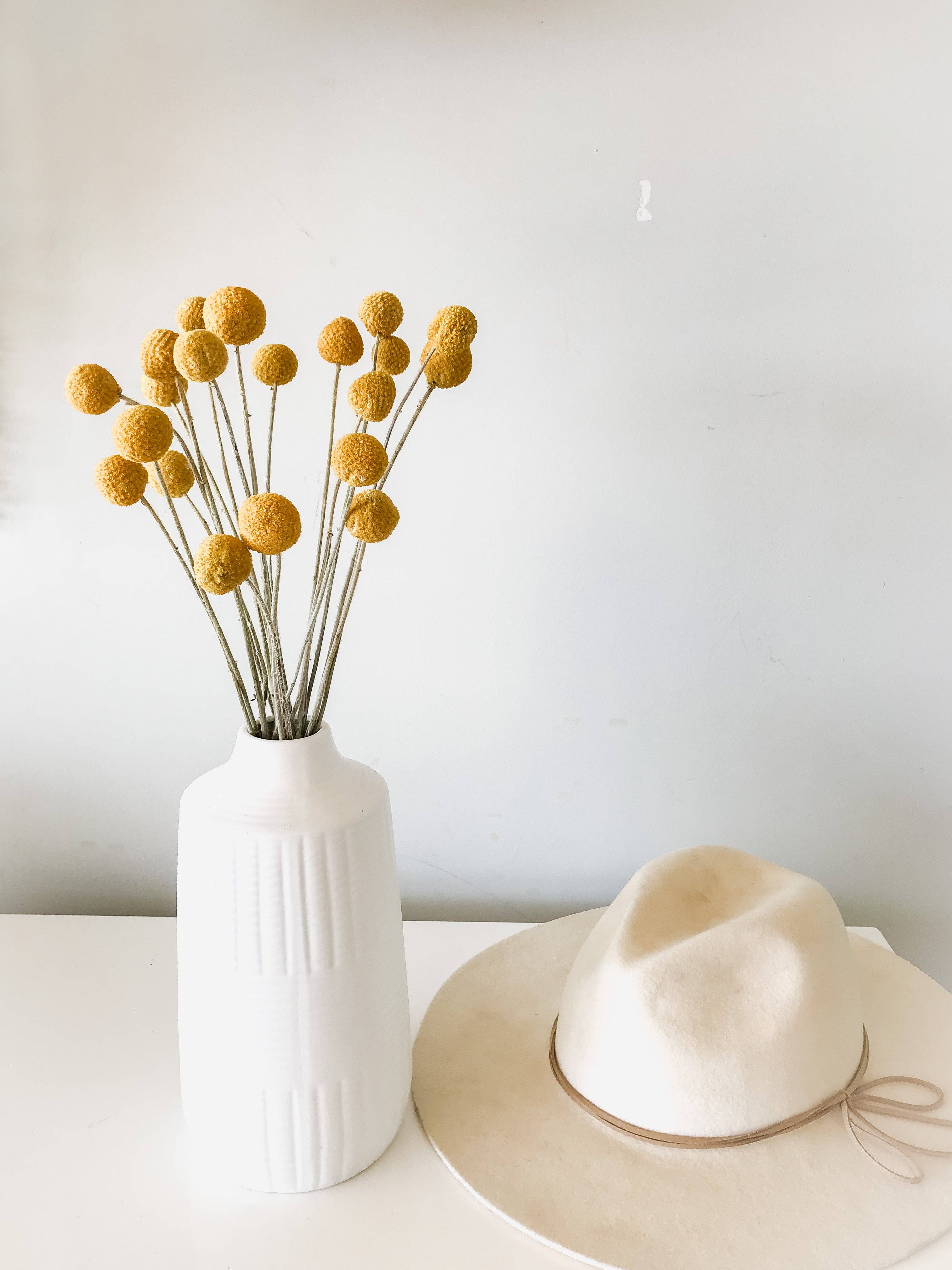 Fairmile Co. - Wholesale Dried/Pressed Flowers - Yellow Dried Craspedia - Billy Buttons2