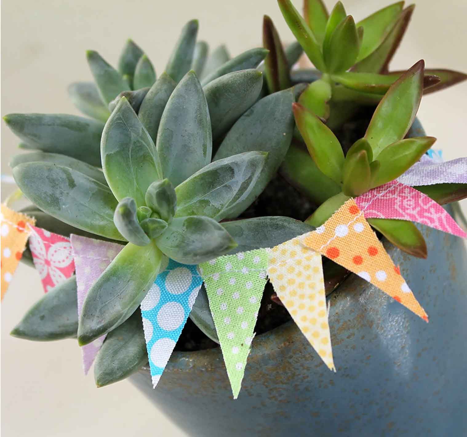 edeenut - Wholesale Bunting/Garland - Spool Bunting SOFT RAINBOW, party cake banner, Gift Wrap1