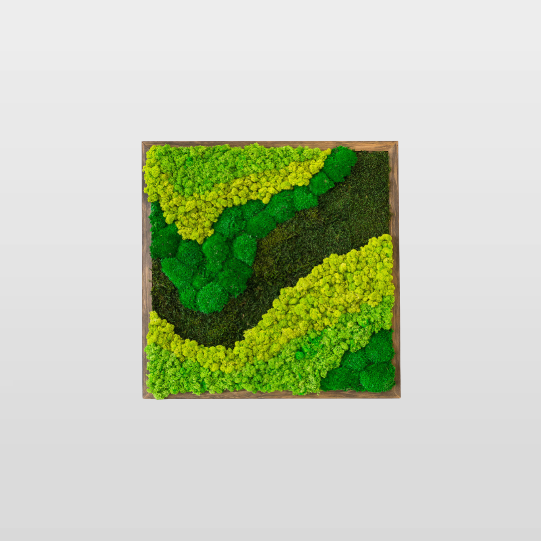 faithbook – wholesale Art print – Preserved Moss Wall Art Picture - FREESTYLE2