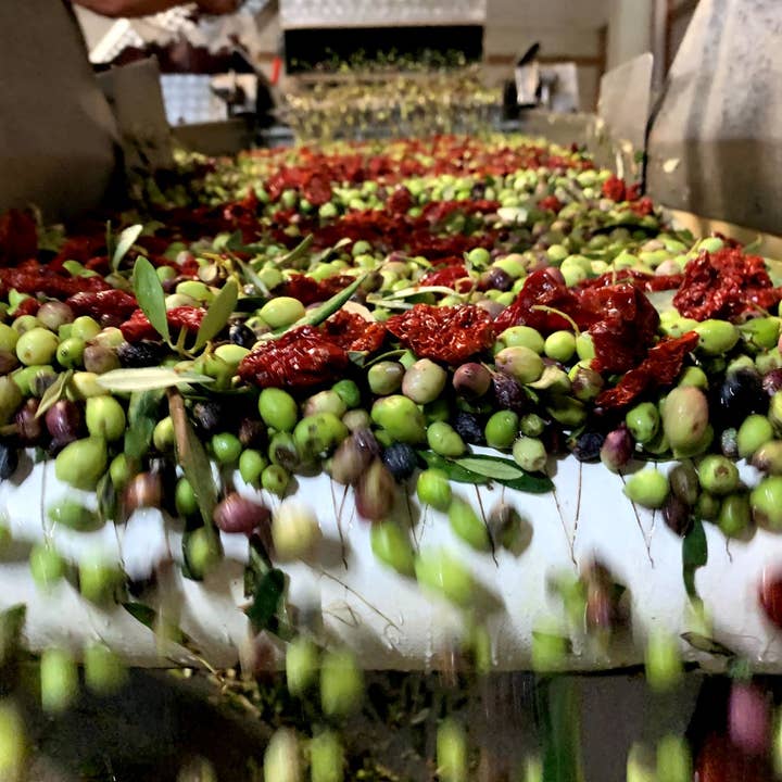 Liokareas - Wholesale Olive Oil - Santorini Sun-Dried Tomato Olive Oil5