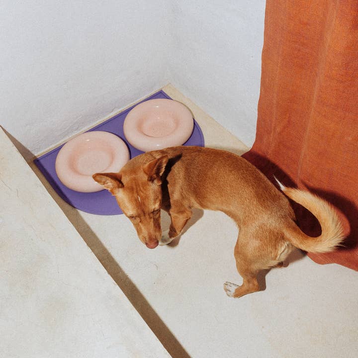 HotDog Pets - Wholesale Pet Bowl - Cat/Dog - Pink ceramic dog feeder4