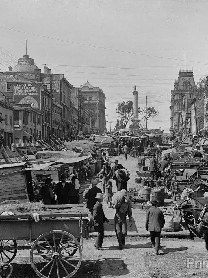 Jacques Cartier Square voor wholesale door Print Collection