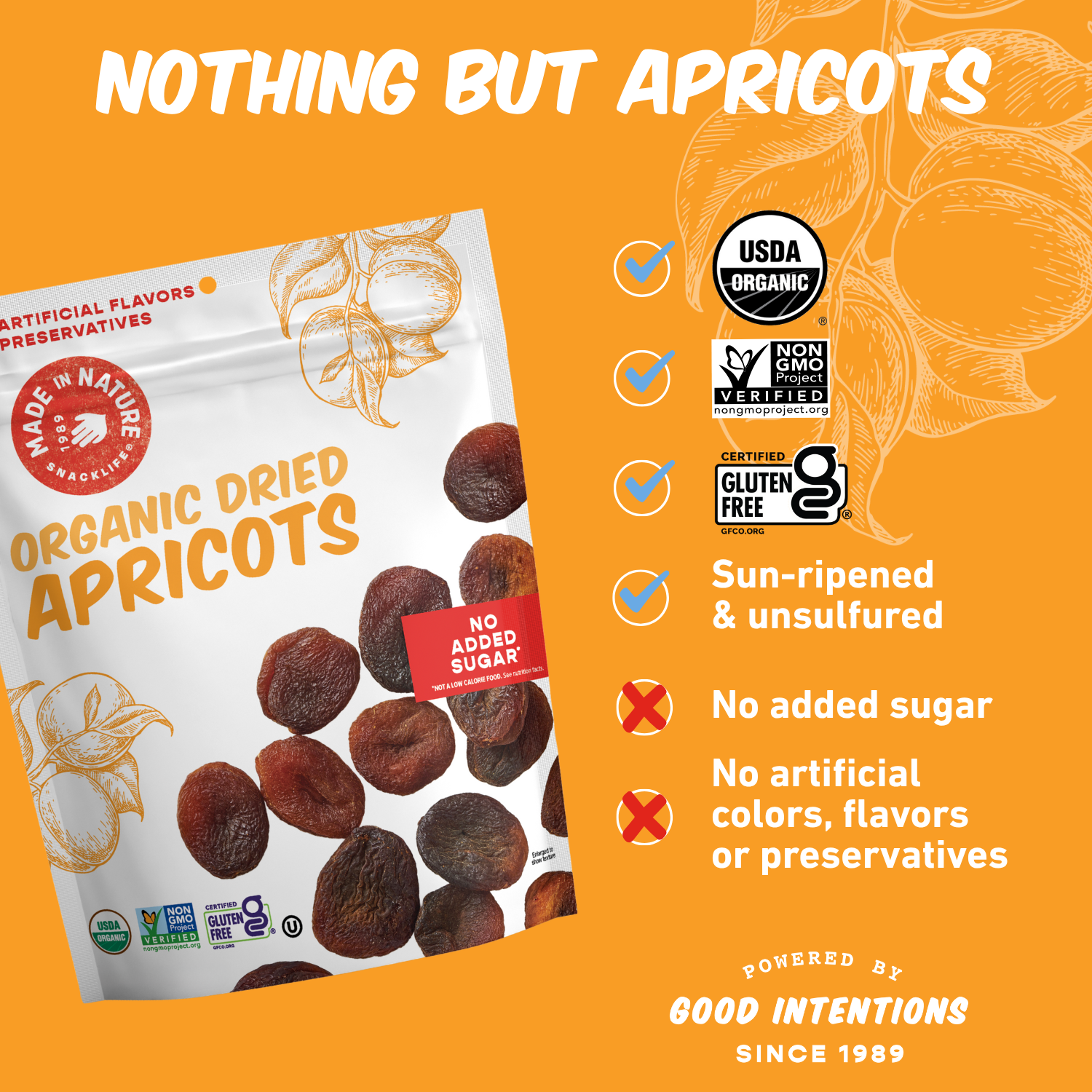 Made In Nature - Wholesale Dried/Dehydrated Fruit - Dried Apricots13