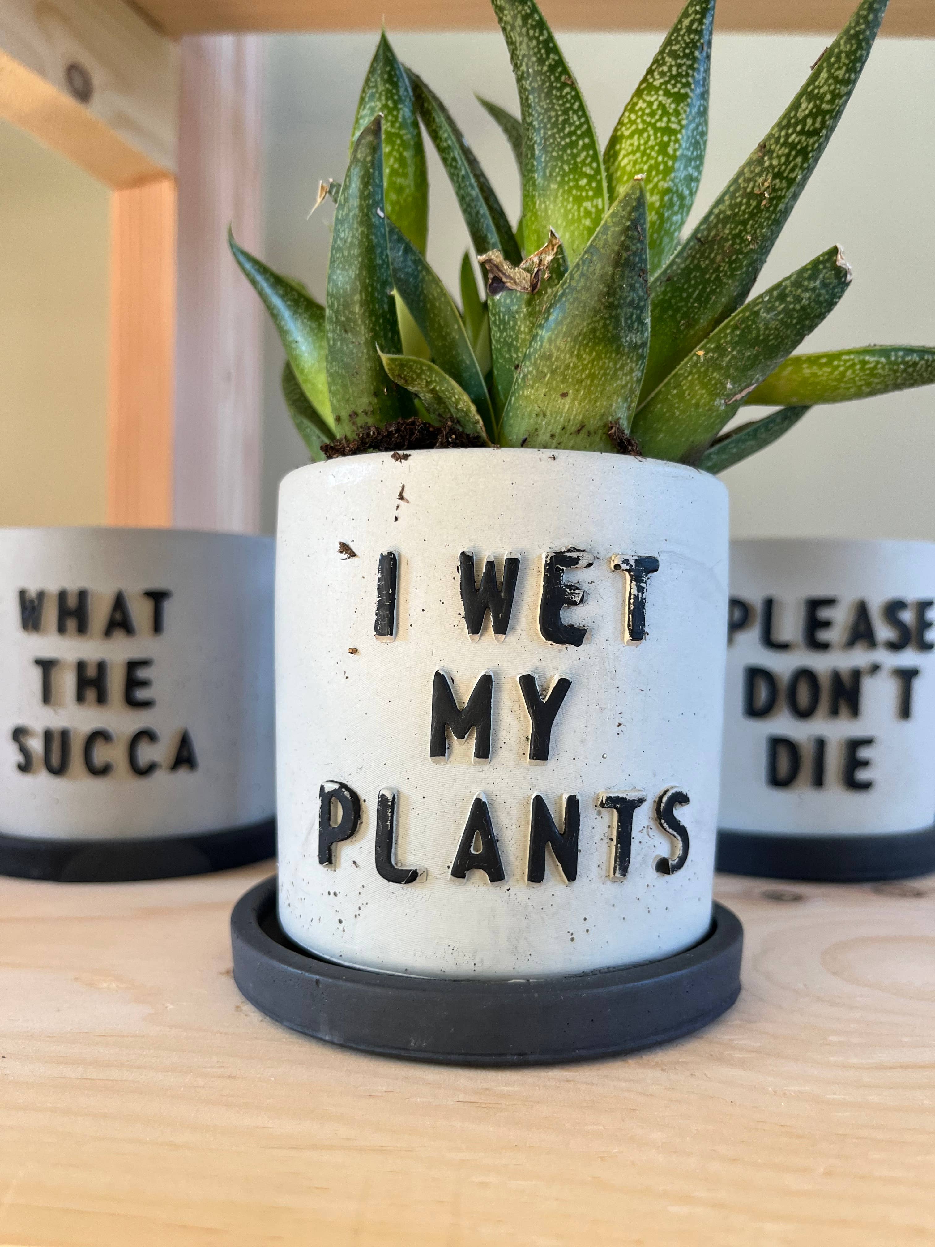 Nora – Vaso de plantas por atacado – Engraçado potes suculentos7