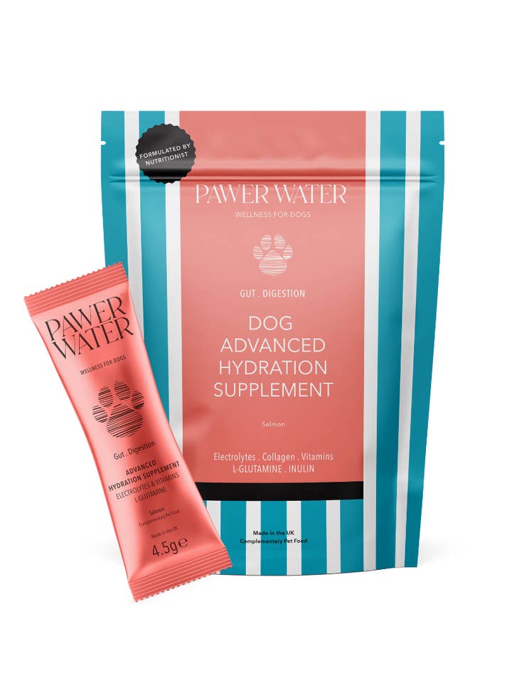 DOG GUT HEALTH ADVANCED SUPPLEMENT (12 sachet pack) for wholesale by Pawer Water
