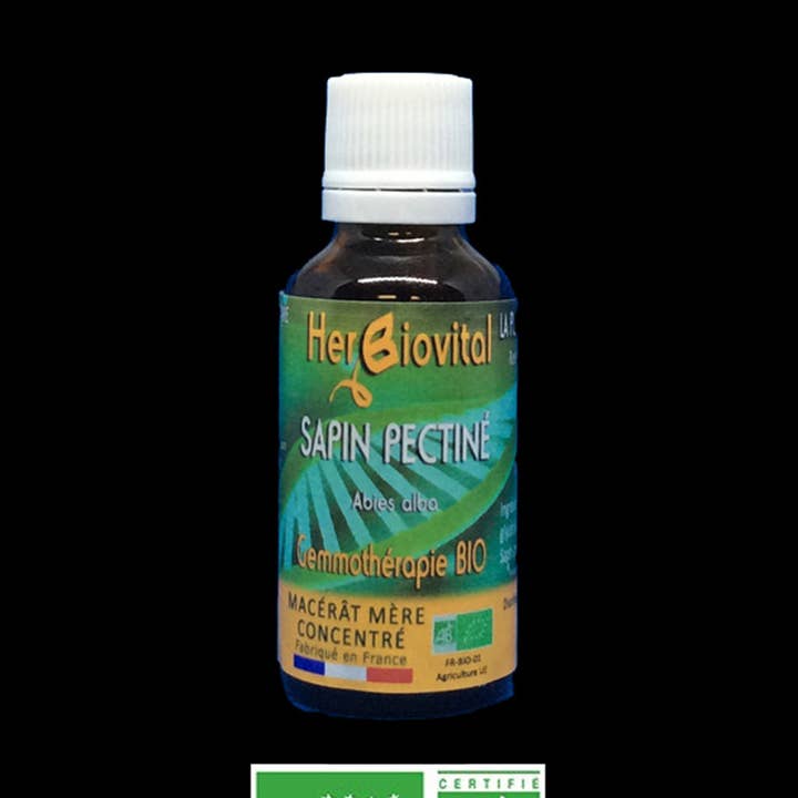 Økologisk Fir - Calcium Macerate for engroshandel hos HERBIOVITAL