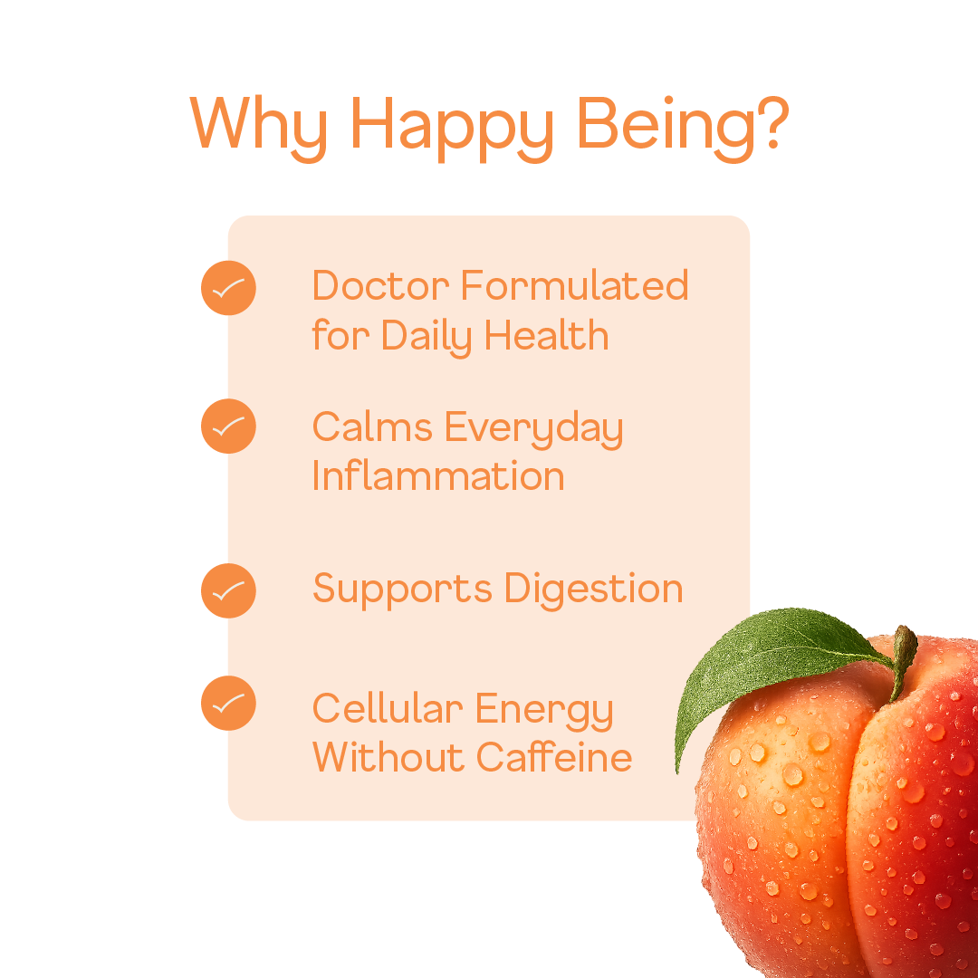 Happy Being - Vente Thé glacé - Pack de 16 pêches8