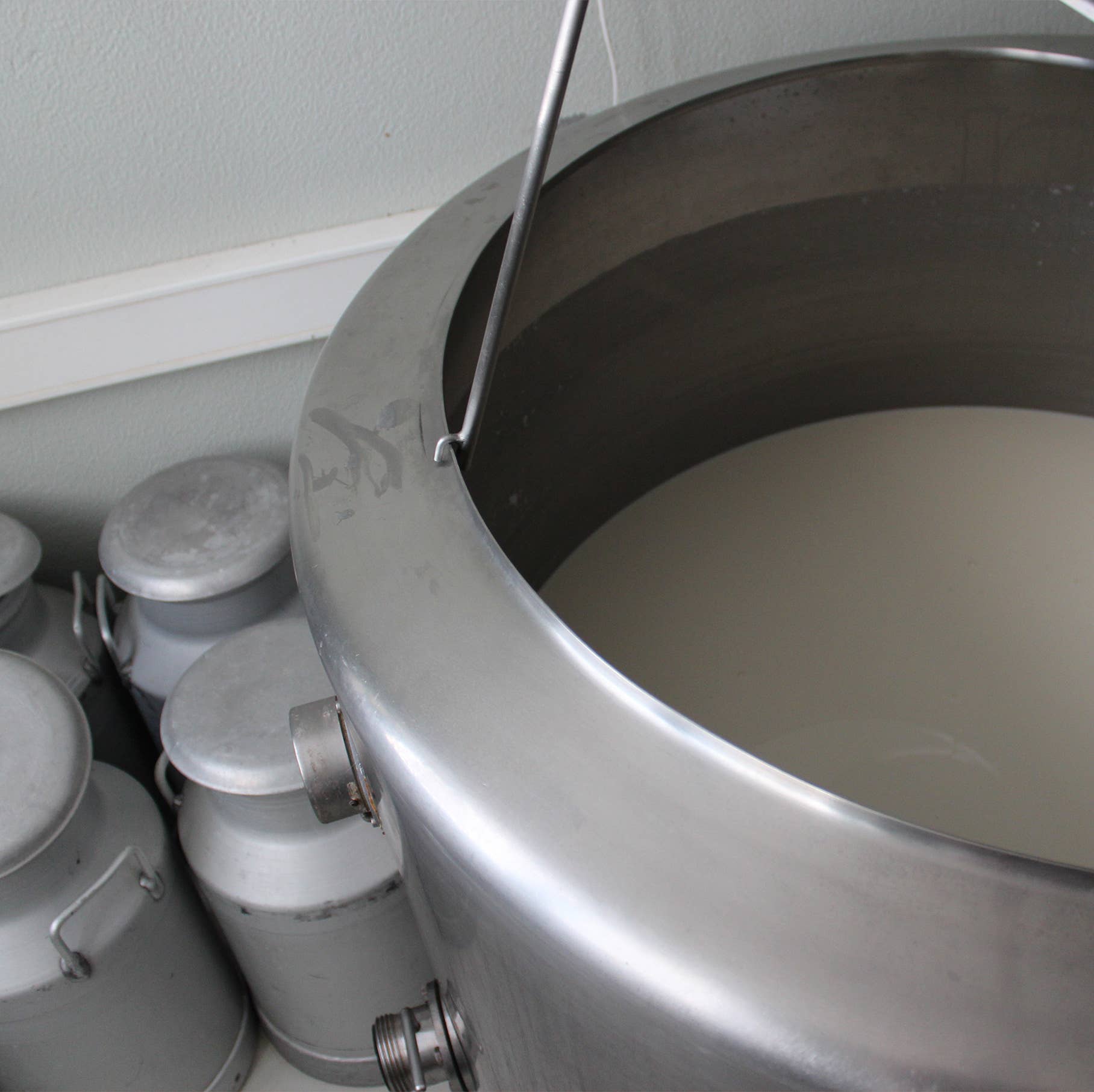 O Melhor do Ribatejo - Wholesale Cheese - Spicy Matured Cheese | From Portugal5