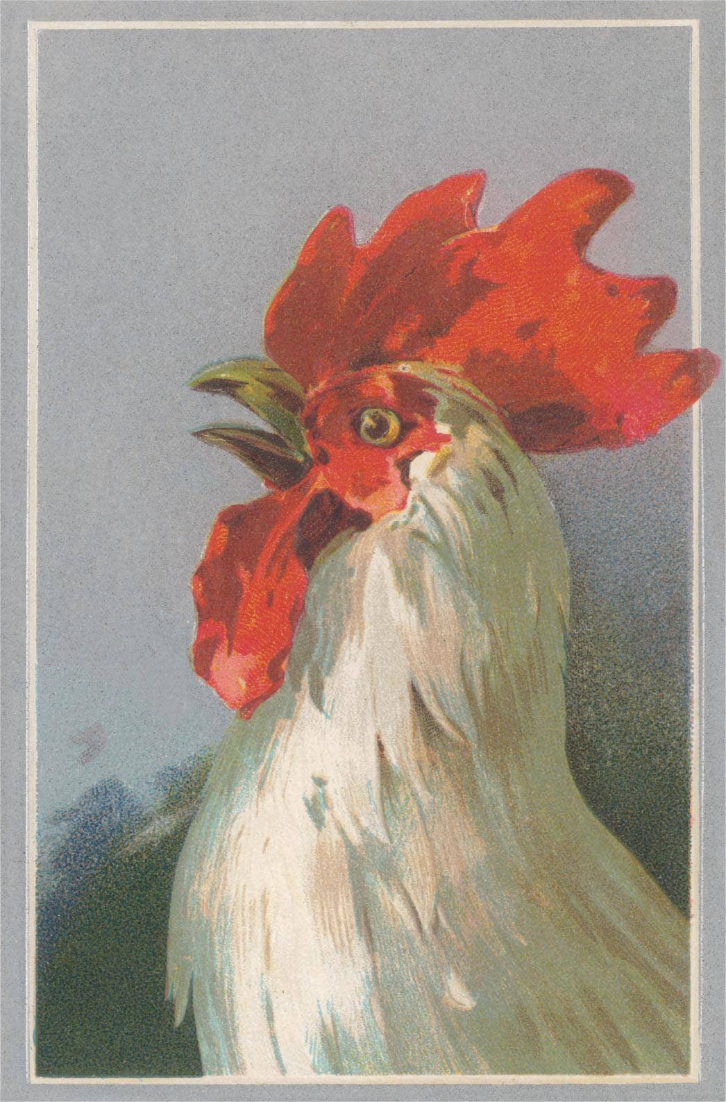 Found Image Press - Wholesale Sticker - Sticker BD-576 Rooster Head0