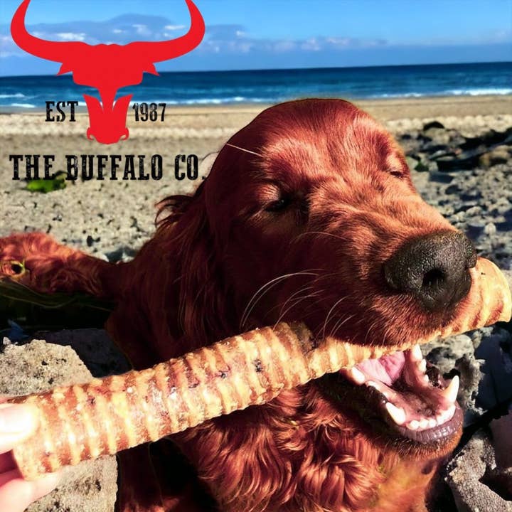 The Buffalo Co. - Vendita all'ingrosso Snack - Cani - Snack per cani Buffalo Trachea Rounds-100 g1