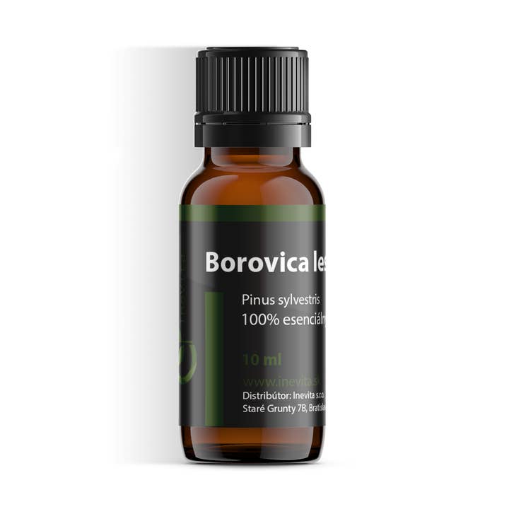 Pine Needle Oil for wholesale by Inevita