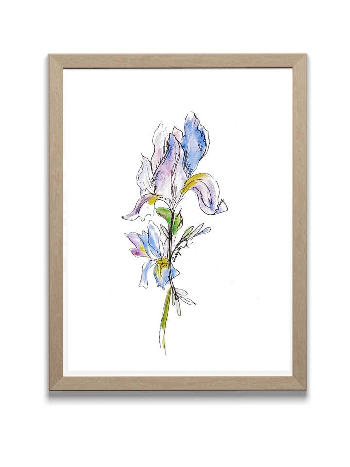 Iris Watercolor - Original Art Print for wholesale by Locksley Workshop