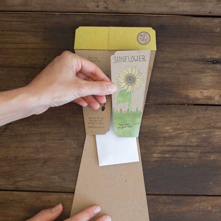 Sow 'n Sow – wholesale Plant seeds – Sunflower Gift of Seeds (Australia Only)