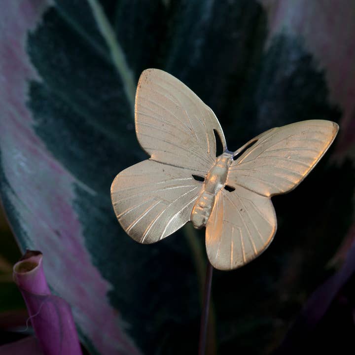 The Brass Butterfly - Wholesale Live Plant - Brass Butterfly Plant Sticks (Set of 6)5