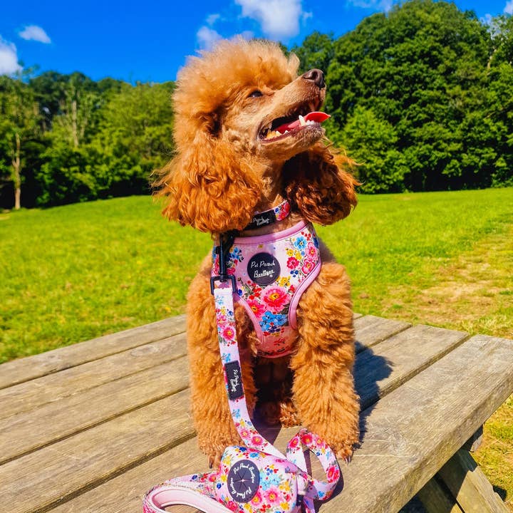 Pet Pooch Boutique – Engroshandel Halsbånd - Hund – Cottage Floral Hundekrave/Valgfrit blomstertilbehør (lyserød)4