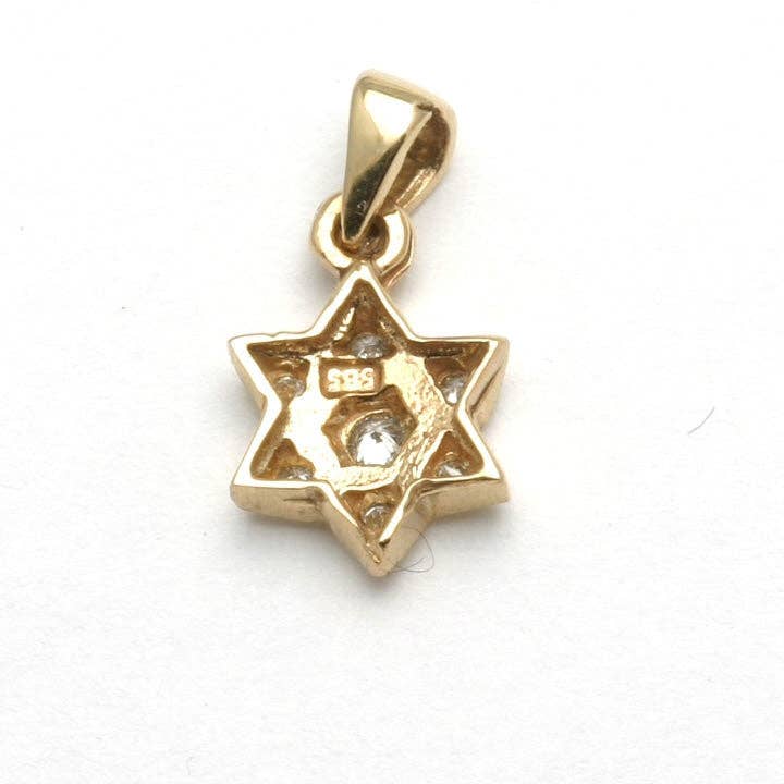Bareket Fine Jewelry - Wholesale Individual Charm/Pendant - 14k Yellow Gold Diamond Star of David Pendant Small Pave1