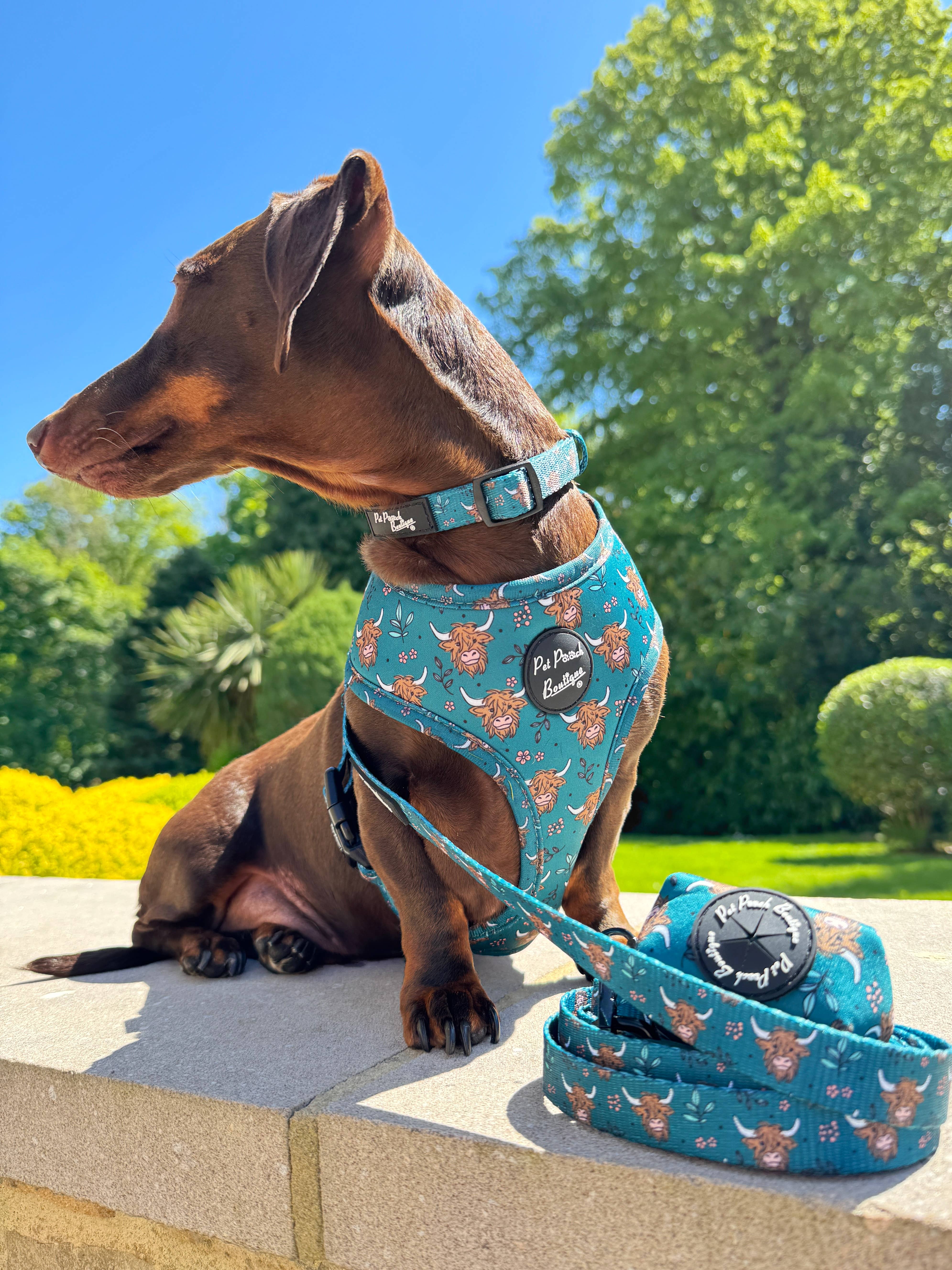 Pet Pooch Boutique - Wholesale Pet Harness - Dog - Happy Highland Cow Puppy Dog Harness6