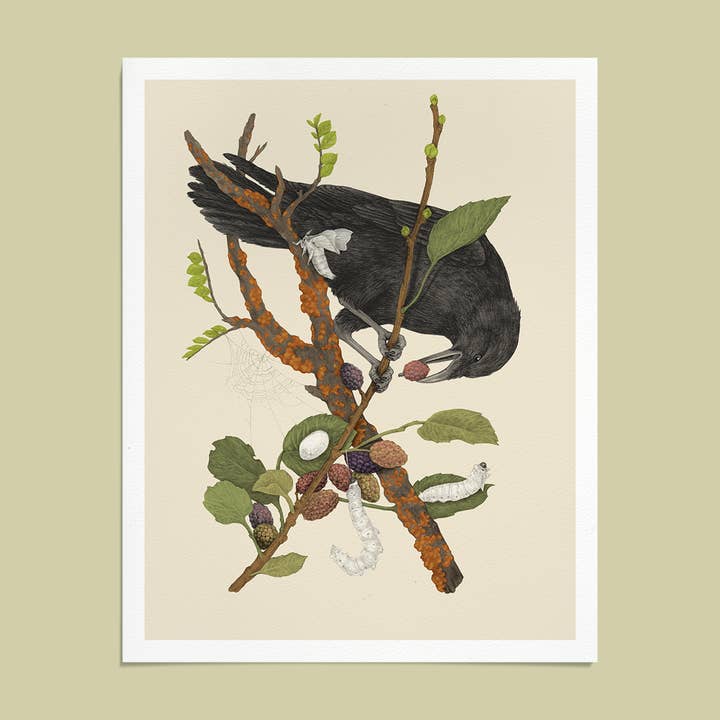 Fine Art Giclee Print Crow & Silk Moths for wholesale by Mustard Beetle