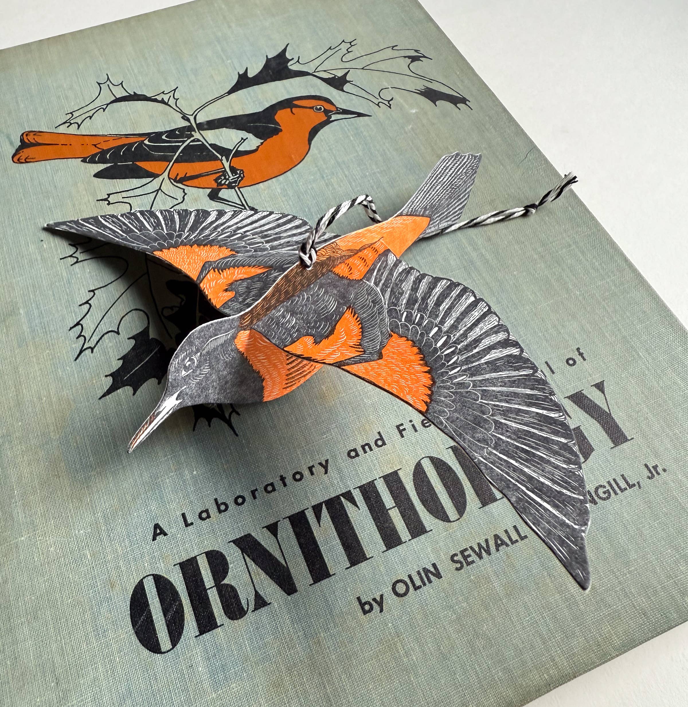 Blackbird Letterpress – wholesale Everyday greeting card – oriole pop-out bird card3