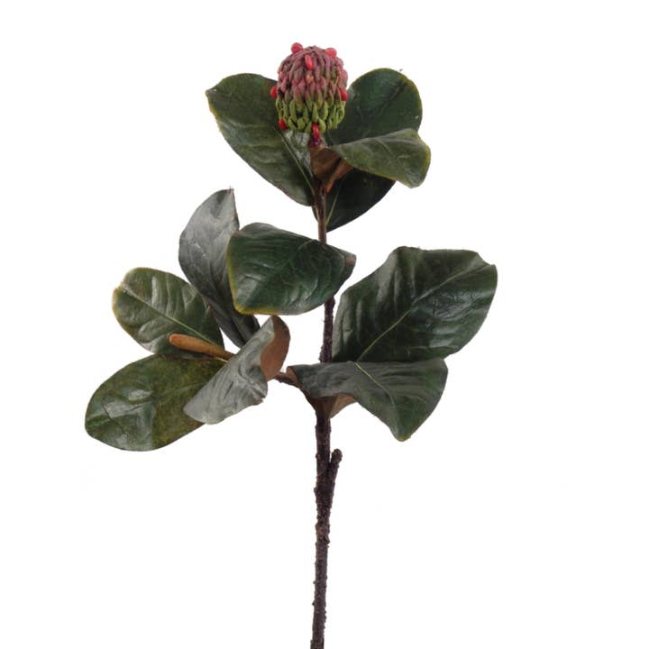 Larksilk - Vendita all'ingrosso Piante artificiali - Foglia di magnolia da 45,7 cm con baccello sintetico