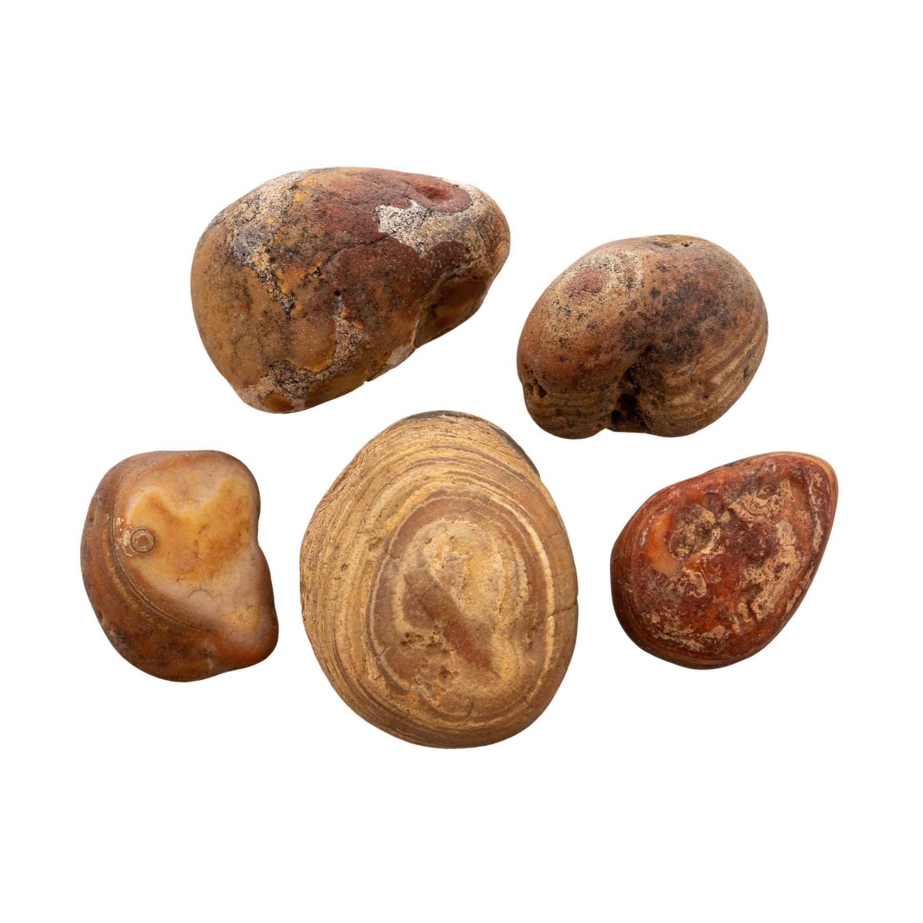 Down To Earth - Wholesale Spiritual Stone/Crystal - Bahia Agate Raw. 1lb.2