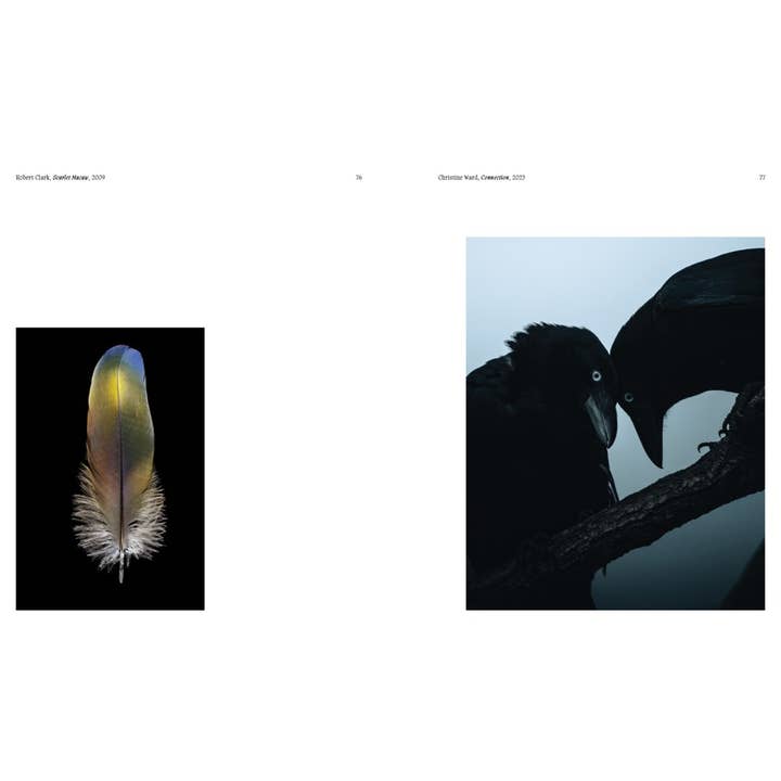 W. W. Norton - Wholesale Display Book - Aviary: The Bird in Contemporary Photography6